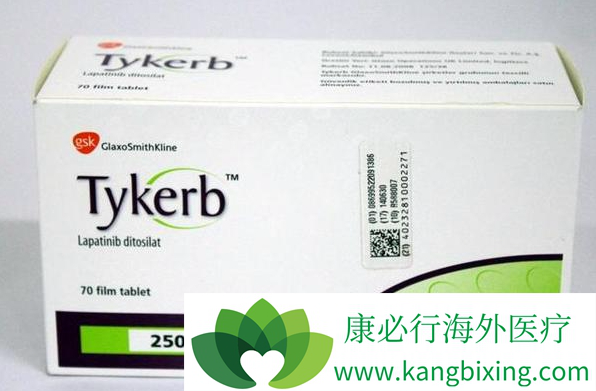 拉帕替尼 拉帕替尼