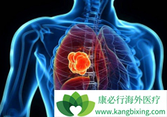 �ΰ������öȷ����ȵ��������̿��ӳ��޶񻯴����