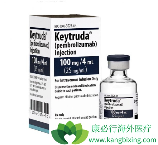 免疫治疗 免疫治疗