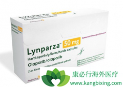 PARP���Ƽ����������������ٰ����ߵ�Ч����ô����