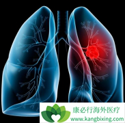 ���������Сϸ���ΰ��ĺ���������ʲôӰ�죿