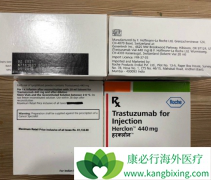 �����鵥��/����͡�ɲ���Ƥ�¸�ҩ��ʽ�������ٰ�