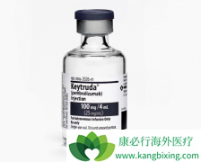 ��ķ�����ڶ��ַΰ������ж�ռ�ݾ�������