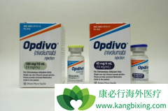 �������䵥�����ƺ���ּ��Խ�չ�ķ�Сϸ���ΰ���������Щ�ٴ�������