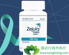 ��������(Niraparib)��Ͽ����ʹ�ÿ���߶��������ٰ�����Ч��