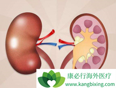 �������ڳ��˳԰������ỹ�ܳ�ʲô��