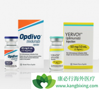 �����������ڸ�ϸ�������ߵ���Ч��ô����