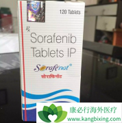 ����������ַ����������Ч����ɱ��Ĳ���