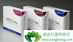 �����о�������ɳ����Թ�����ά����һ��������Ч��