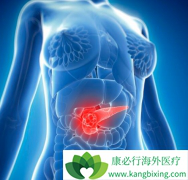 ����car-tϸ���Ʒ����ٰ���������