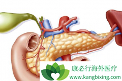 ���ٰ��Ĳ�������Щ�����Ԥ������������