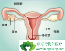 �ѳ���������ҩ�ﶼ����Щ��