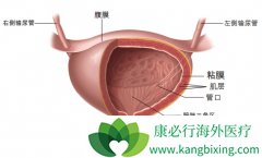 ���װ������Ʒ���������Щ��