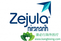 ��������(niraparib)���������Ч��Ӱ����