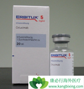 ��-EGFR���������������ڽ�ֱ�������еı�����ô����