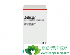 ����ŵ��(vorinostat)����Ч����HPV-18DNA�����Ͳ�������