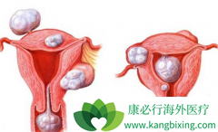 ע��������������ǲ��ǾͲ���׻���������