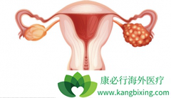 ������������в������Ʋ���ҩ�ѳ�����Ч�϶�