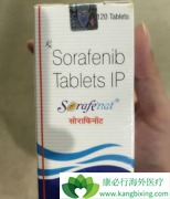 �༪��/����������HAIC��������Щ���棿