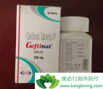 ӡ������ɳ(GEFTINAT)��ԭ������ɳ�ΰ����߸����ѡ��