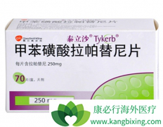 ��Ъ��������������뿨����������ķ�������HER2�������ٰ�����