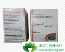 �����������άĪ˾��Ϊ��������(Votrient)��ҩ�󷽰����޲���