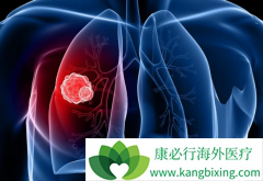 ��������԰��и�Ѫѹ�ķ��۰�������Ч����