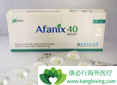 �ΰ�ҩ���������з���ҩ����ԭ��ҩ��ʲô��ͬ��