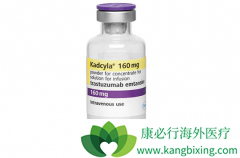 T-DM1�����������鵥������ʹ���������ٰ�����