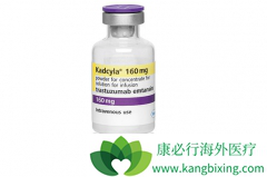 �����鵥������T-DM1�������ٰ�����Ч����