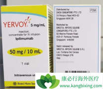 �����������Ҫ������ƥ����(Ipilimumab)��ҩ����������ֹ���ƣ�