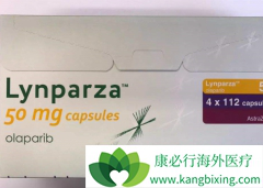 ����ʹ�ð�������(olaparib)�ɻ�������洦