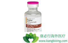 HER2�������ٰ�����ʹ�������鵥�����Ƶ���Ч��ô����