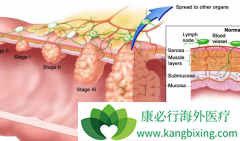 ����ֱ���������Ƽ������Ʒ�������Щ��