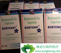 �������������׶Զ෢�Թ���������Ч��