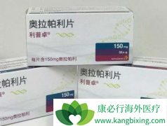 ��������/����������������ƾ���gBRCAm�����ٰ����ߵ�PFS