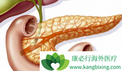 �������������ٰ���������ʲô���ã�