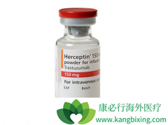 ����HER-2�������ٰ�����ʹ�������鵥�����������鵥��������