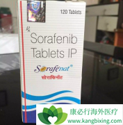 ��������/�༪����TACE���Ͽ�Ϊ���ڸ����Ըΰ����ߴ������õ�Ԥ��