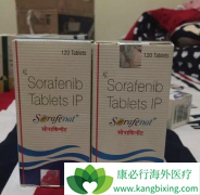 ��������/���������ν΢Ѫ���ַ�HCC���������ٴ�����