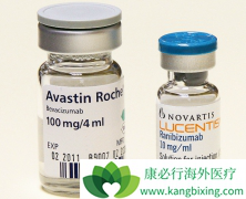 ����ҩ�ﱴ���鵥���ܸ��Ʒΰ���ת�ƻ��ߵ�Ԥ����