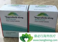 ��������������ύ����ҩ�ܷ��ӻ���ҩ��