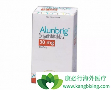 �����������Ȳ�������(Brigatinib)���������ƻ�����������