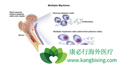 ҩ�����ƶ෢�Թ�����ʱ����ҩ�ﶾ�Ը���δ�����