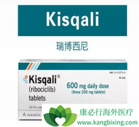 ������(Ribociclib)����Ī�������û���������ʧ���ķ���