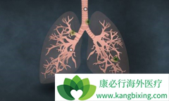 �ΰ����ڳԲ�������/���������ܻ��ã�