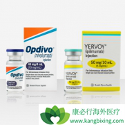 Opdivo����Yervoy���Ƹ�ϸ�������ߵ�Ч������
