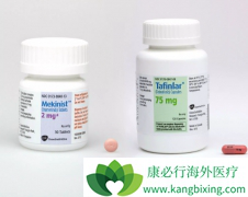 �����������������������Ʒ��Ǻ�ɫ���������Ƽ��İ���ҩ��