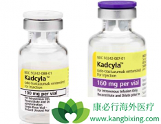 T-DM1�������鵥������ĸ��������ٰ�����Ч�ã�