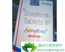 ��������/������������TACE���ƾ��������ĵ���ЧӦ